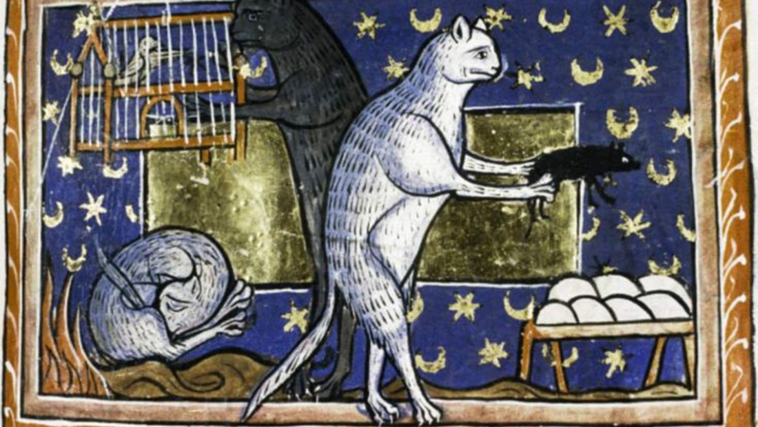 Medieval manuscript illustration of a cat standing on its hind legs beside a cage and food