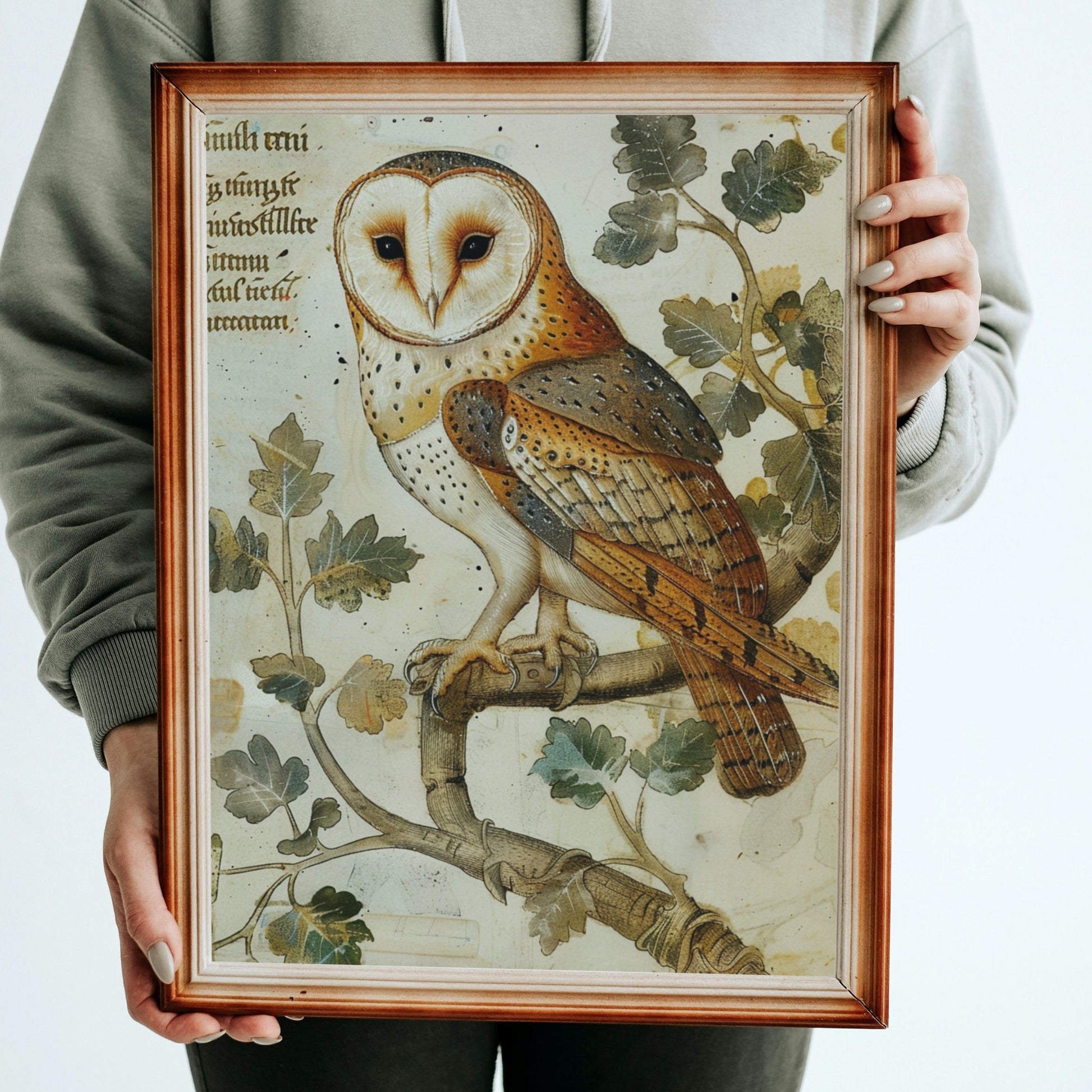 Medieval Barn Owl Manuscript Art Print: Dark Academia Decor