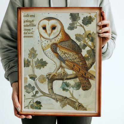 Medieval Barn Owl Manuscript Art Print: Dark Academia Decor