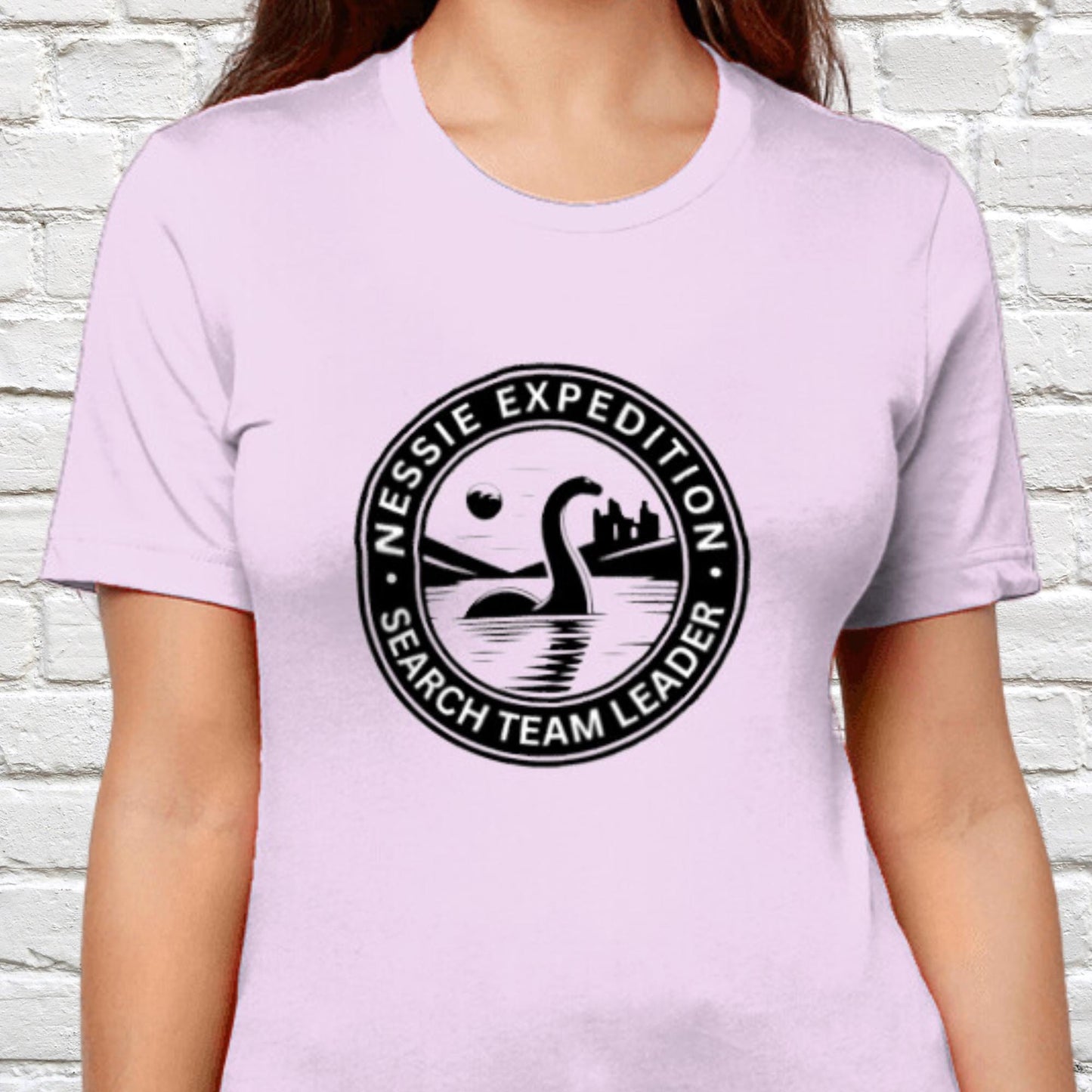 Nessie Tee, Scottish gift, gift for Scots person, Scotland t-shirt, dinosaur lover tee, adult dino tee