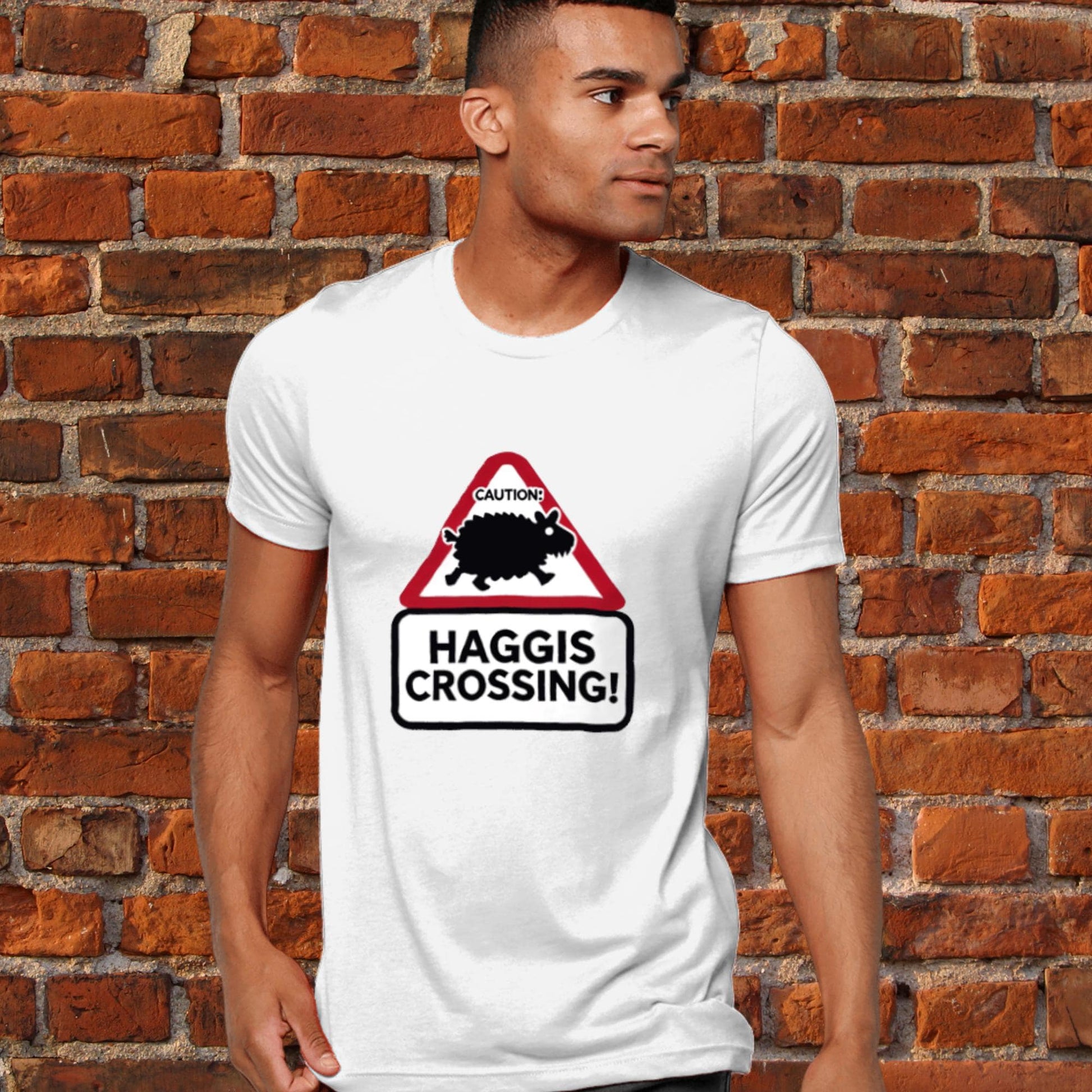 Scottish culture t-shirt, Scotland themed present, haggis lover gift, unique Scotland merch, Scottish pride t-shirt, Scotland road trip tee, funny UK gift idea, Highland folklore t-shirt, novelty Scotland clothing, Celtic legends apparel