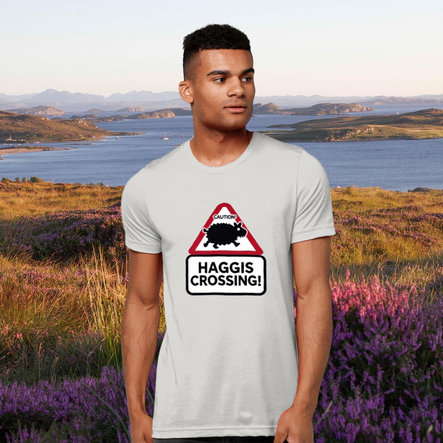 Robbie Burns gift, Robert burns t-shirt, ode to the haggis t-shirt, Rabbie Burns haggis quote, Scottish festival wear, fiddle player gift, bagpipe player t-shirt