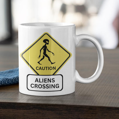 alien believer mug, quirky sci-fi cup, UFO enthusiast gift, alien abduction humour, funny conspiracy mug. UAP spotter