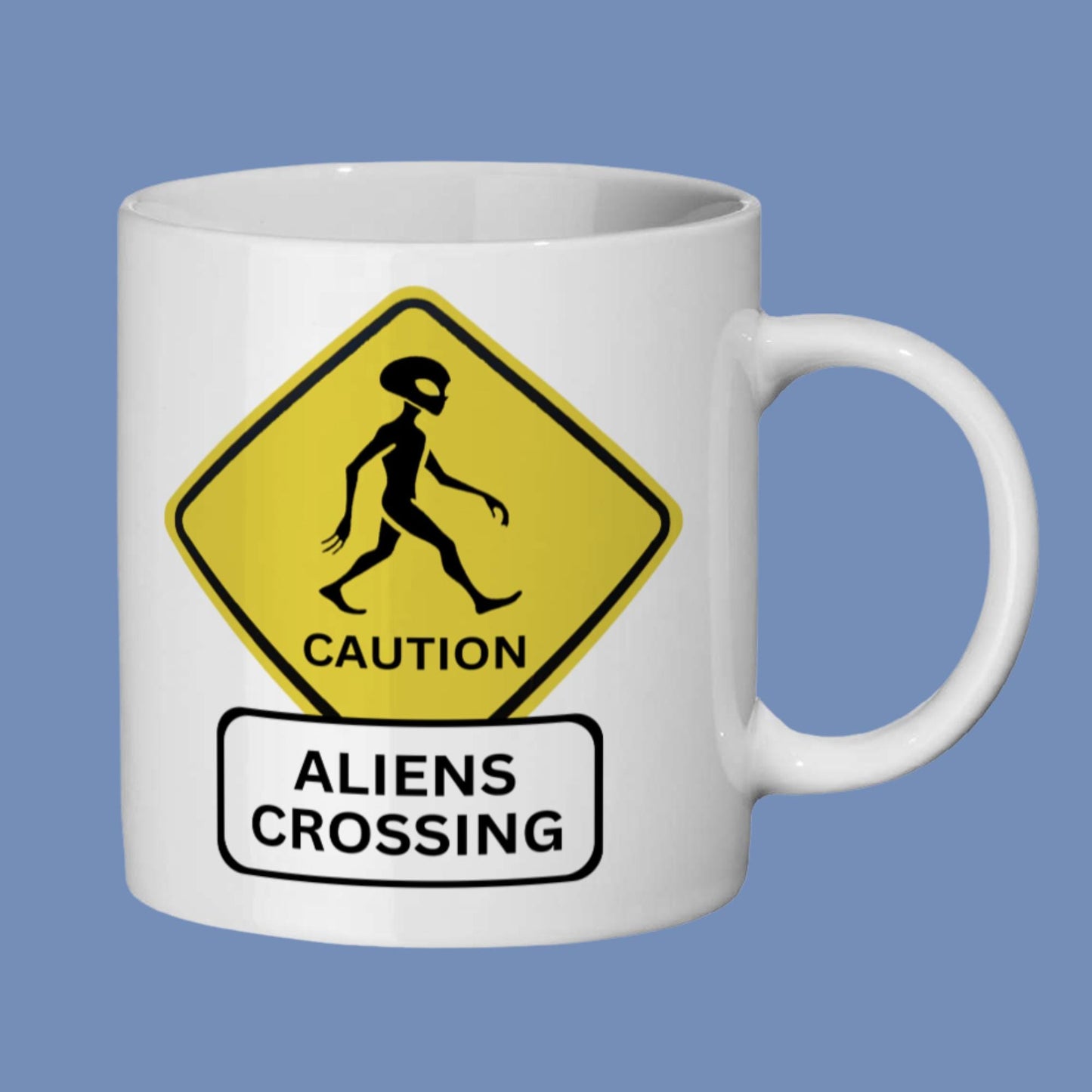 alien abduction, geeky space drinkware, alien research organization gift, humour gift for UFO fans, conspiracy theorist drinkware, alien warning mug