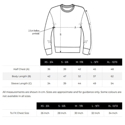 Kids Grumpy Cat Sweatshirt: Japanese Art Style, Funny Animal Jumper