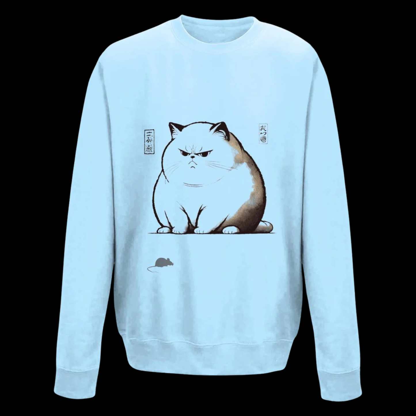 Kids Grumpy Cat Sweatshirt: Japanese Art Style, Funny Animal Jumper